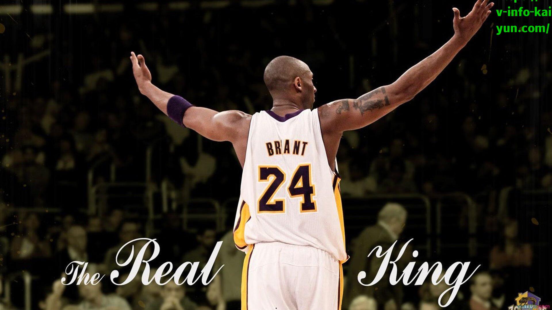 稳定输出展现全能价值，马利克·里德今夏自由市场或成抢手目标