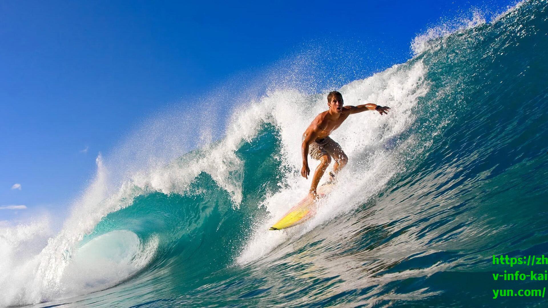 Shams引爆社交媒体之夜,球迷熬夜等待的交易风暴为何落空?