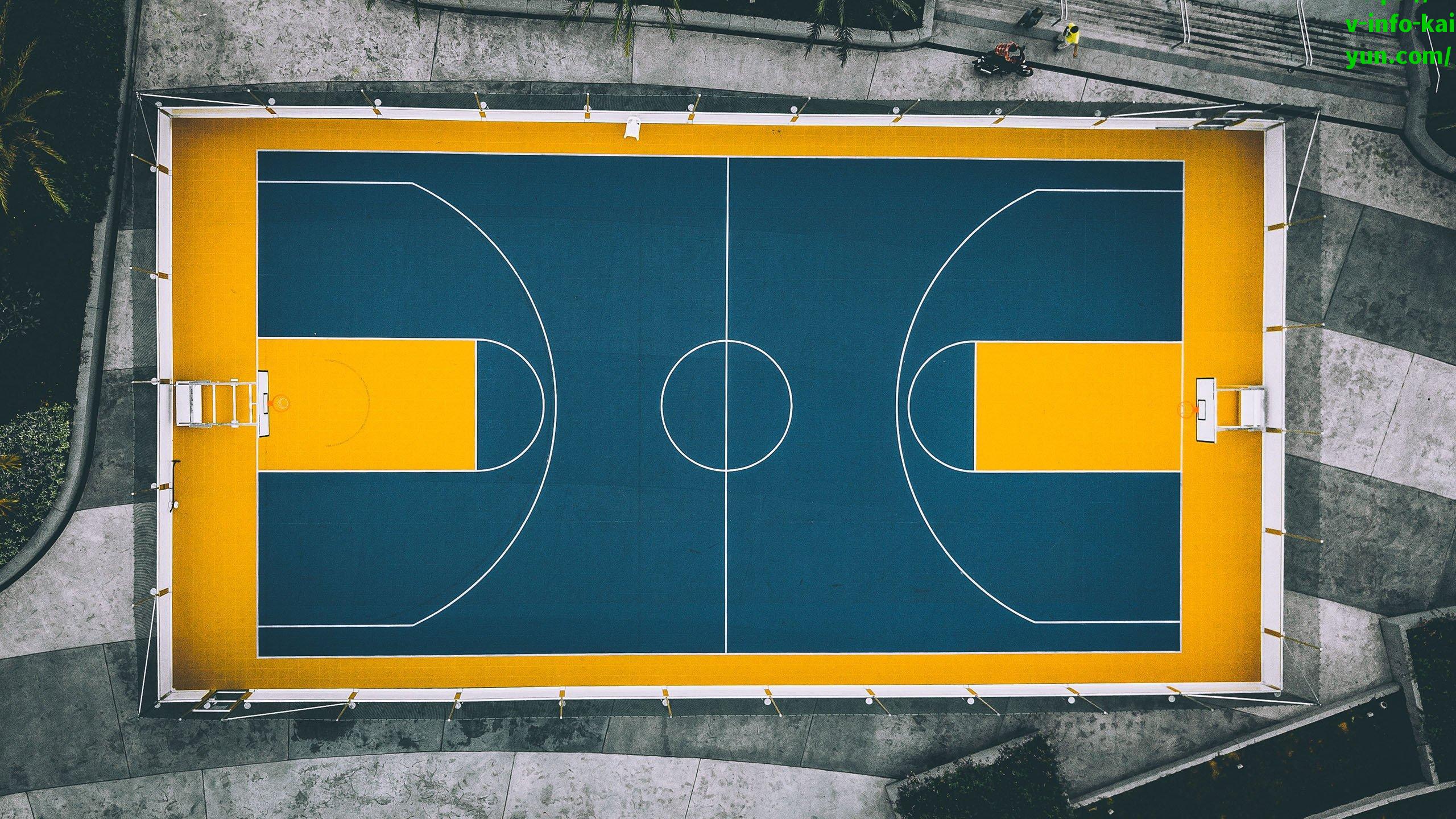 国王队启动补强计划，Haynes透露已安排与施罗德会面，休赛期后卫线升级在即