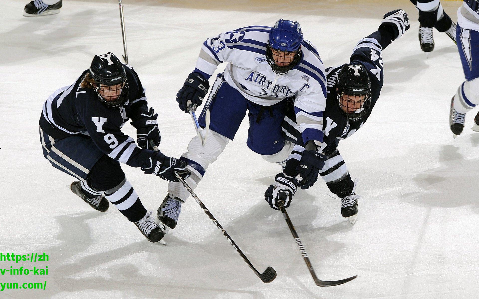 新赛季新阵容新帅新风貌！德转预测，谁会成为皇马赛季新星？