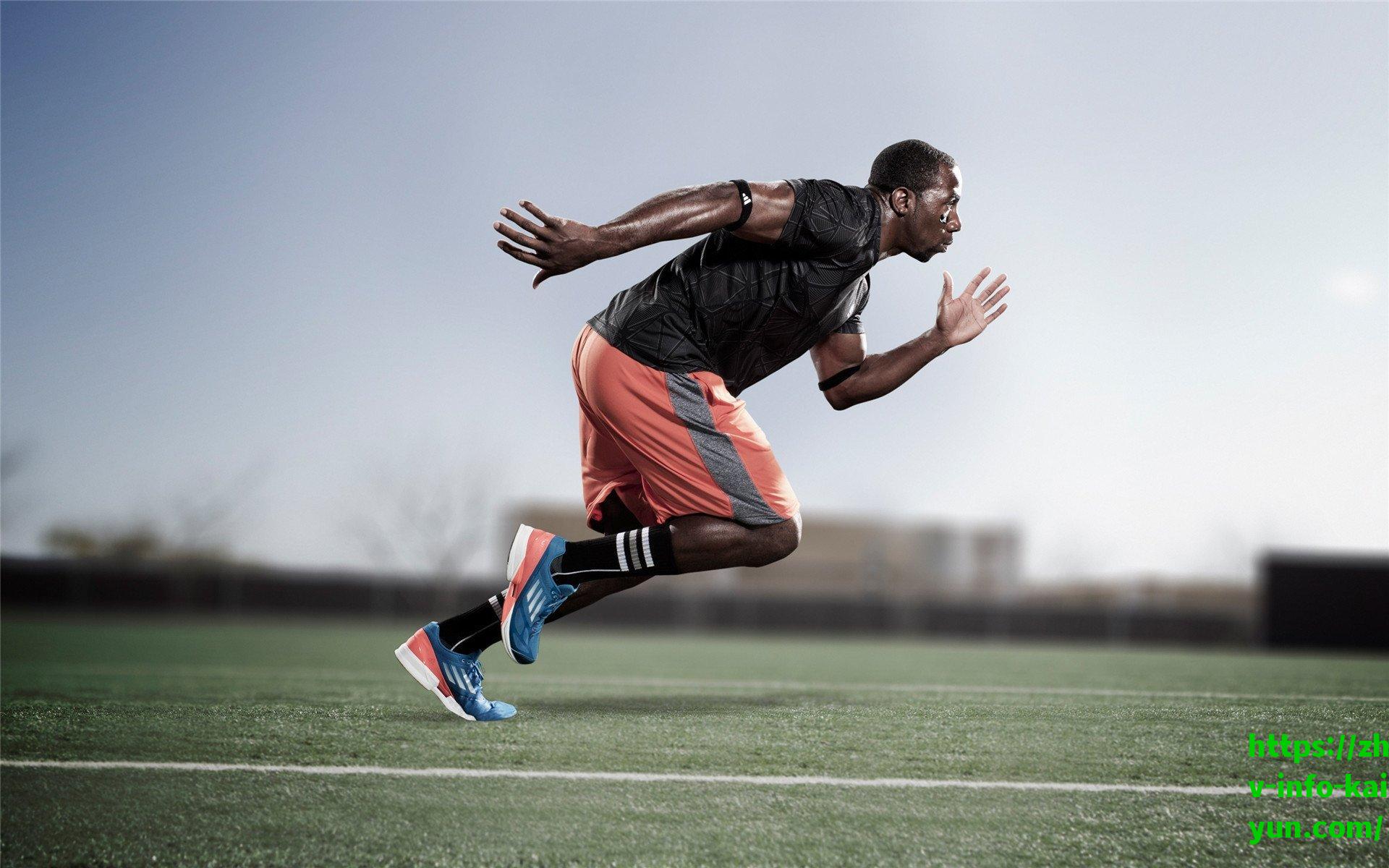 皮尔斯力挺迈克-布朗，尼克斯主帅任命的明智抉择