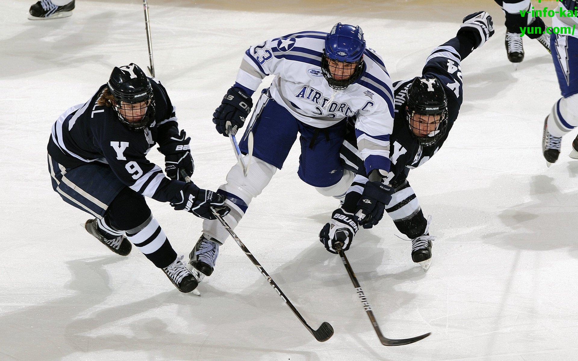 kaiyun登录入口-拜仁登顶德甲社媒热度榜，数字时代下的足球影响力之战